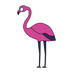 exotic flamingo bird leaves tropical