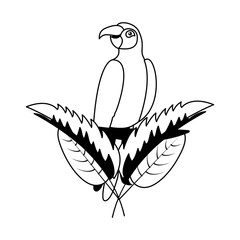 exotic parrot bird leaves tropical