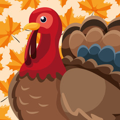 Turkey icon image