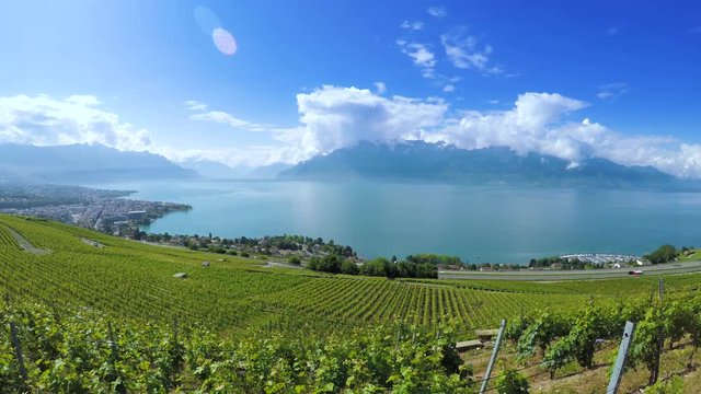 Panorama view of Montreux city with Swiss Alps, lake Geneva and vineyard on Lavaux region, Canton Vaud, Switzerland, Europe.
