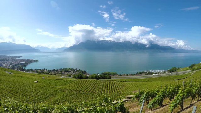 Panorama view of Montreux city with Swiss Alps, lake Geneva and vineyard on Lavaux region, Canton Vaud, Switzerland, Europe.
