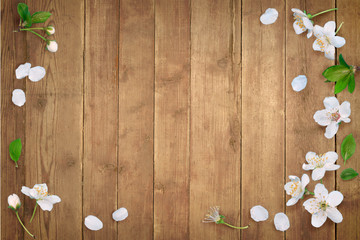 Wooden background with spring flowers and leaves