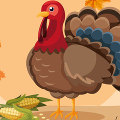 Turkey icon image