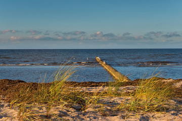 german baltic sea coast colorful autumn scene