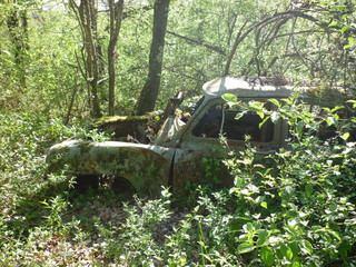 épave en forêt 2