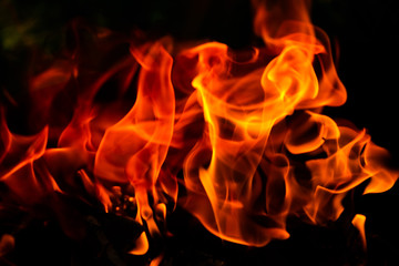 Fire flames on black background