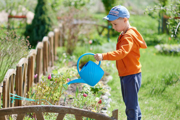 Cute European boy is watering tulipes in the countryside garden. He likes to help his mother in the garden. © Artem