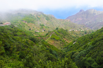 Fototapeta na wymiar Landscape near AFUR village, located in a valley guarded by high rocky ridges in Tenerife,Canary Islands,Spain.