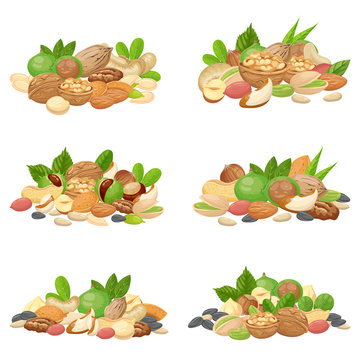 Nuts bunch. Fruit kernels, dried almond nut and cooking seeds isolated vector set