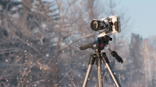 camera on a tripod close up in the winter forest in the snow