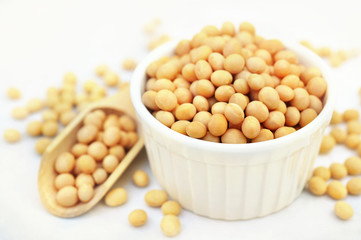 Bowl of dry soybean/soya beans for food, vegan protein legumes for healthy vegetarian diet, selective focus