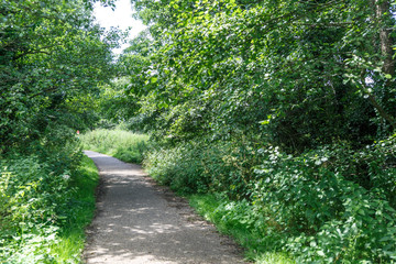 Rural walk surrounded by vegetation and prepared for hiking