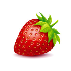 Strawberry vector logo.