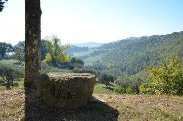 L'attesa di qualcuno. Relax, in viaggio per castelli medievali nella selva umbra. Italia, Gubbio, Europa. Natura dei castelli