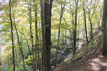 Plitvice Lakes National Park, Croatia
