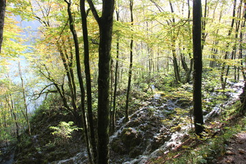 Plitvice Lakes National Park, Croatia