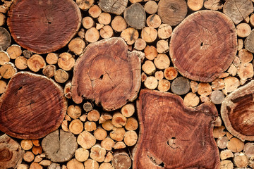 Wood texture background.