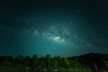 Sky at night with many star in the winter over forest, Beautiful clear sky at night, Wonderful bright galaxy with dark sky
