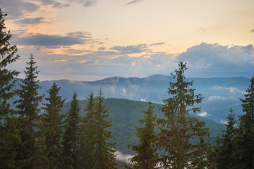 Sunrise over mountain forest
