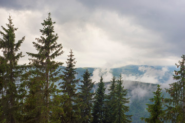 Cloudy day in the mountains