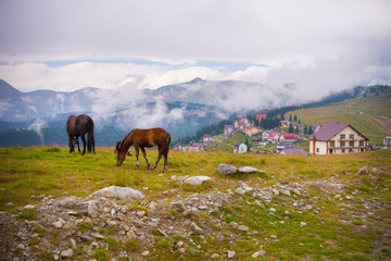 Obraz premium Horses grazing near a village in the mountains