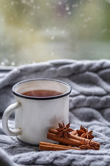 The conception of cozy and warmth. A Cup of hot fragrant tea, soft knitted plaid and spices on the background of a rainy window in the cold season