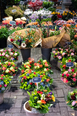 Fototapeta na wymiar Amsterdam flower market near canal