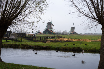 zaanse schans in winter