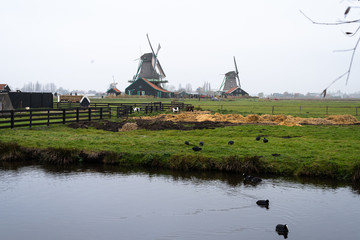zaanse schans in winter