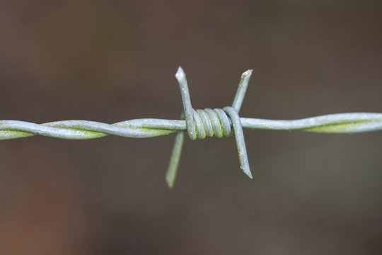 Barbed Wire