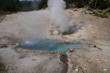 NORRIS GEYSER BASIN YELLOWSTONE NATIONAL PARK (WYOMING) USA
