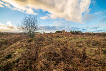 large granite rock single in nature