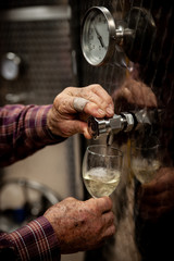 Old winemakers hands pouring a glass of wine from modern inox tank