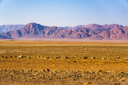 「D707」の画像 - 99 件の Stock 写真、ベクターおよびビデオ | Adobe Stock