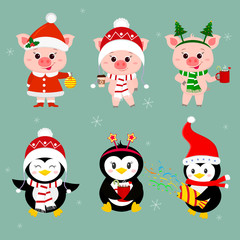 New Year and Christmas card. A set of three piglets and three penguins character in different hats and poses in winter. Gift box, poppers, hot drink. Cartoon style, vector