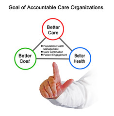  Goal of Accountable Care Organizations