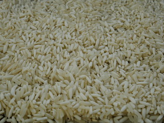 closeup of rice seed,organic grain rice