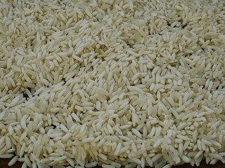 closeup of rice seed,organic grain rice