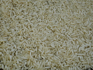 closeup of rice seed,organic grain rice