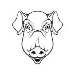 Cute pigs head. Mascot of the New Year 2019 according to Chinese zodiac calendar. Linear black drawing isolated on white background. EPS10 vector illustration