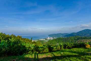 Fototapeta na wymiar banana field on the high mountain beside the way to Phuket big Buddha.