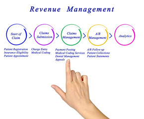 Revenue Management Process