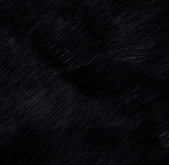 black fur background and texture