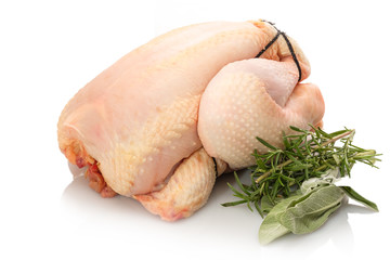 Hähnchen roh mit grünen Kräutern
