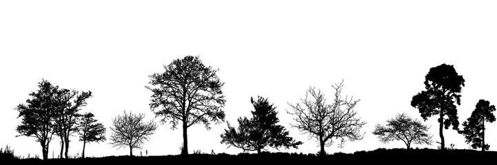Realistische Baumsilhouette. Vektor-Set von natürlichen Bäumen. (Vektorabbildung).Ai10 © busurman