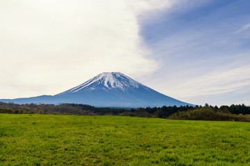 Mountain fuji in forest, Japan