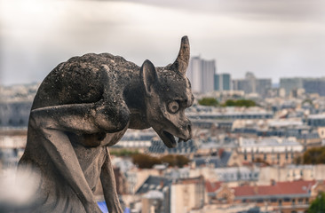 Chimera of the Cathedral of Notre Dame