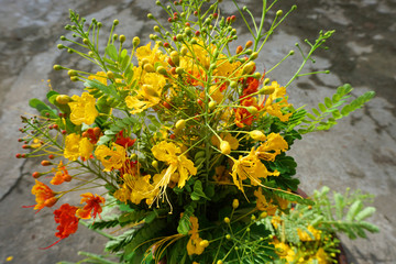  Bouquet of flamboyant flowers in red and yellow petals and green leaves in harvesting day  flower background floral wallpaper 