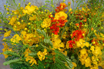  Bouquet of flamboyant flowers in red and yellow petals and green leaves in harvesting day  flower background floral wallpaper 