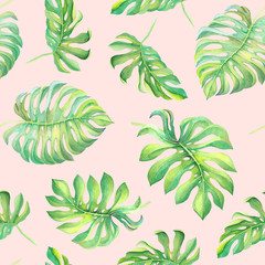 Obraz na płótnie Canvas Tropical jungle background with monstera plant leaves and flowers on pink background. Exotic watercolor botanical seamless pattern